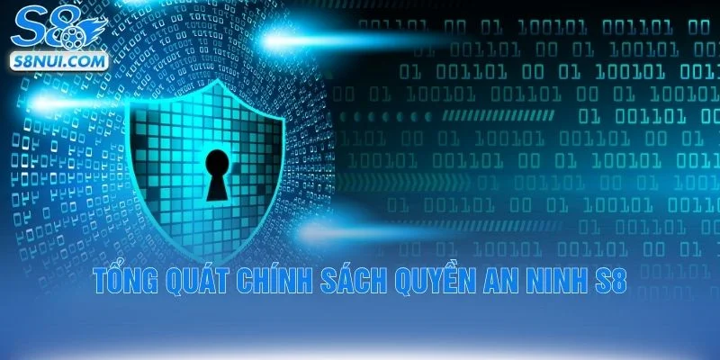 Tổng quát chính sách quyền an ninh S8