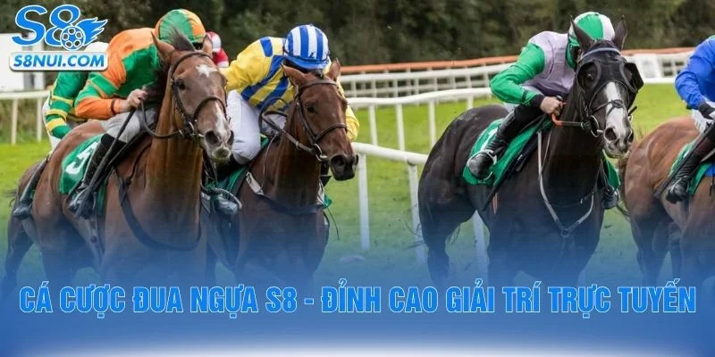 Cá Cược Đua Ngựa S8 - Đỉnh Cao Giải Trí Trực Tuyến
