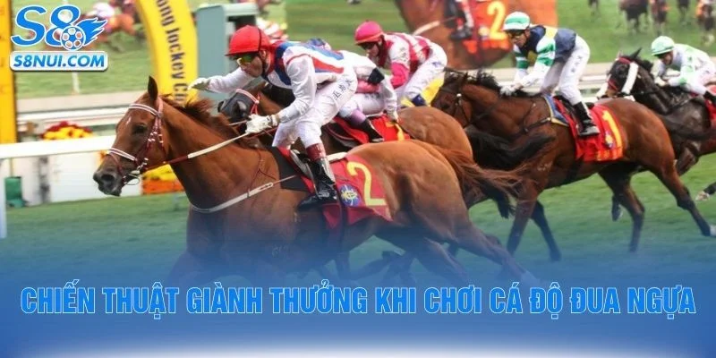 Chiến thuật giành thưởng khi chơi cá độ đua ngựa