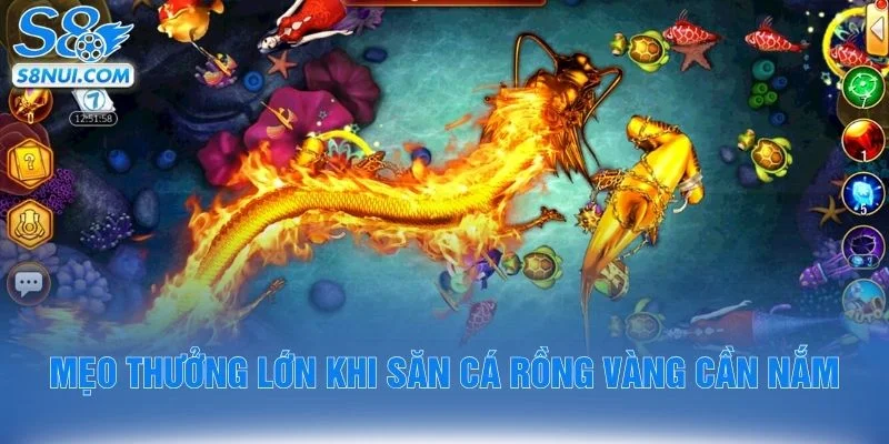 Mẹo thưởng lớn khi săn cá rồng vàng cần nắm