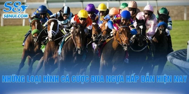 Những loại hình cá cược đua ngựa hấp dẫn hiện nay